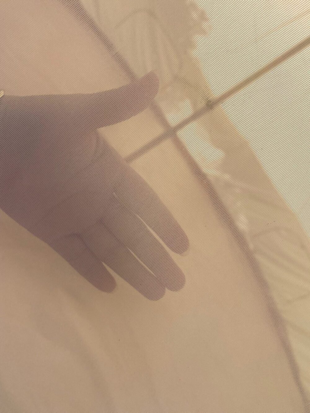 IMG_0373 Luxurious Oxford Bell Tent 5x5M | Stylish & Spacious Glamping Tent