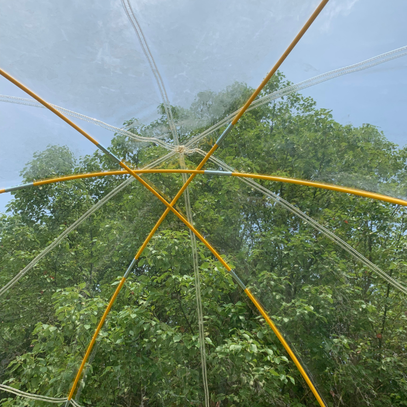 30 PVC Automatic Pop-Up Outdoor Pavilion Tent – Spacious Sun Protection for Outdoor Gatherings